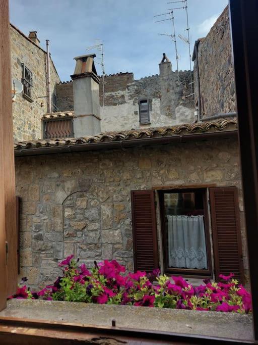 Casa Rosita Vista Lago Μπολσένα Εξωτερικό φωτογραφία